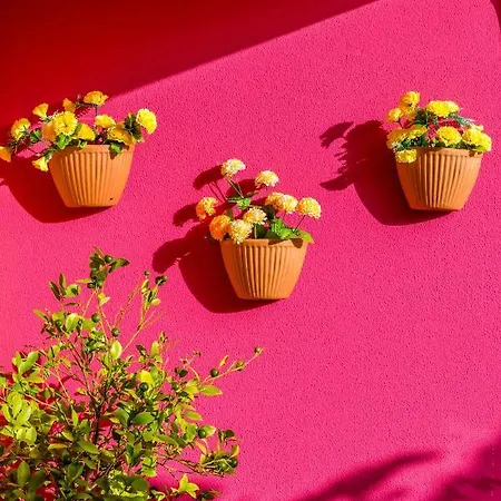 Graciosa - Tranquility Oasis ゲストハウス 3*