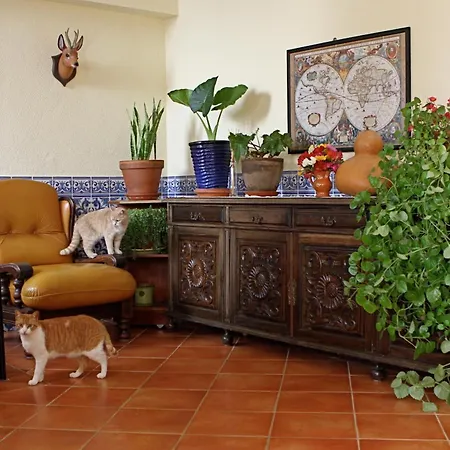 Graciosa - Tranquility Oasis לאגוּ‏ש